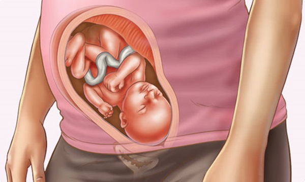 Thai 28 tuan : Những lưu ý về thai nhi 28 tuần cần biết